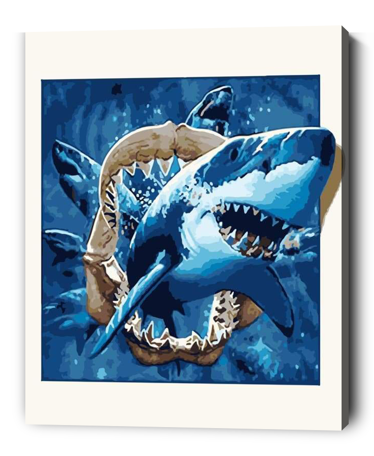 Shark Paint By Numbers Kits Craft Painting