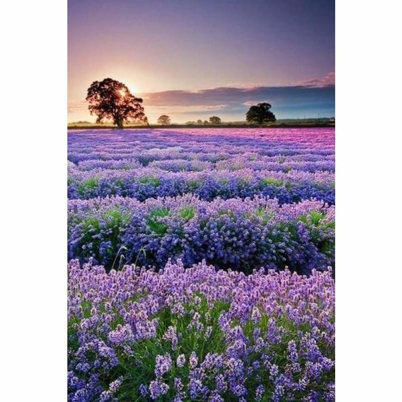 Full Drill - 5D DIY Diamond Painting Kits Beautiful Sunrise