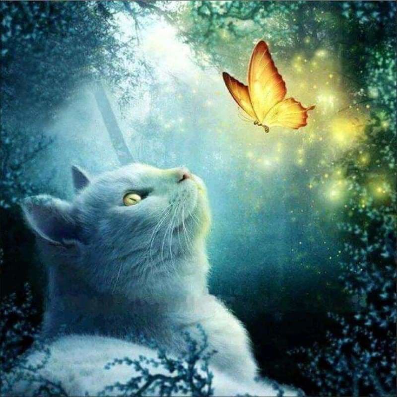 Full Drill - 5D DIY Diamond Painting Kits Dream Cat And