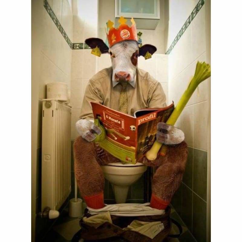 Full Drill - 5D DIY Diamond Painting Kits Funny Toilet Cow