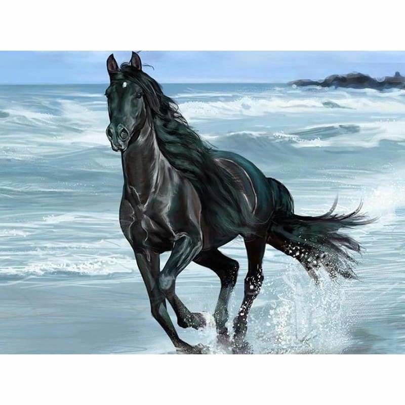 Full Drill - 5D DIY Diamond Painting Kits Running Black