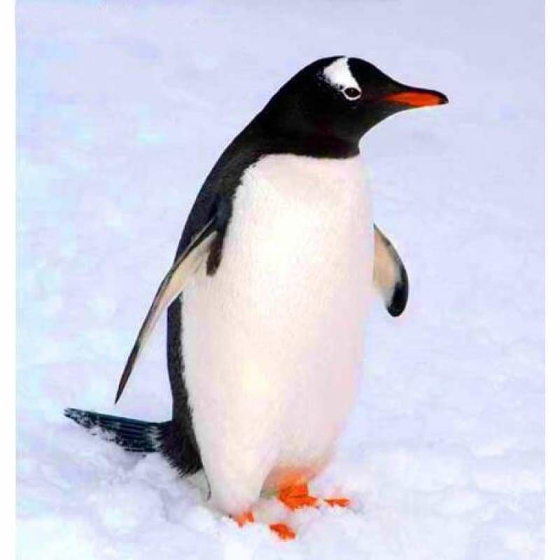 Full Drill - 5D DIY Diamond Painting Kits Silly Penguin