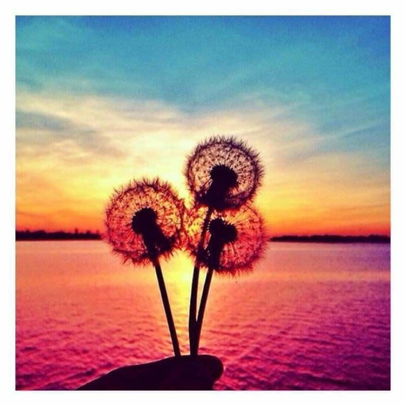 Full Drill - 5D DIY Diamond Painting Kits Special Sunset