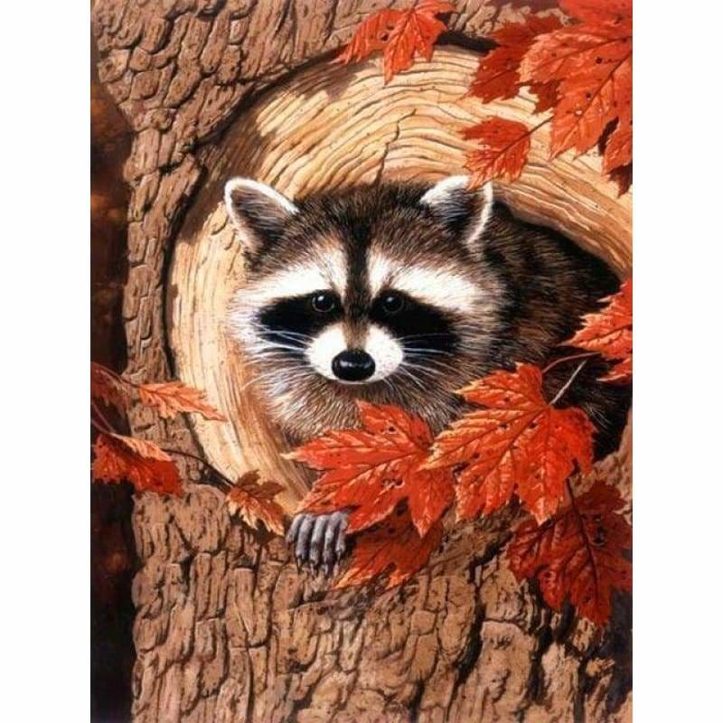 Full Square Drill Raccoon Full Drill - 5D Diy Diamond