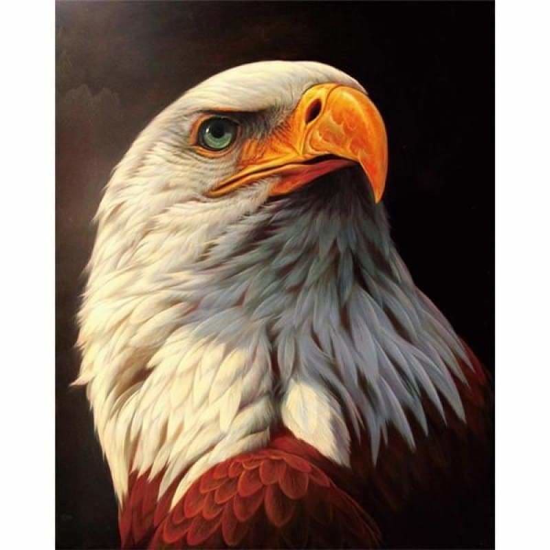 Hot Sale Animal Eagle Portrait Full Drill - 5D Diy Diamond
