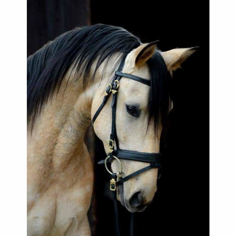 Hot Sale Animal Horse Pattern Full Drill - 5D Diy Diamond