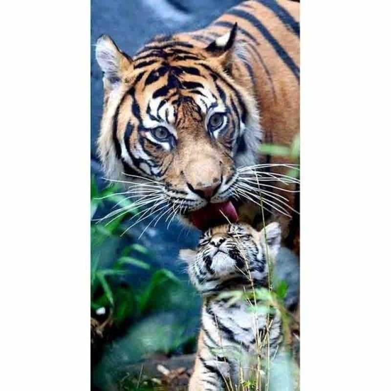 Large Size Wall Decor Popular Tiger Full Drill - 5D Diy