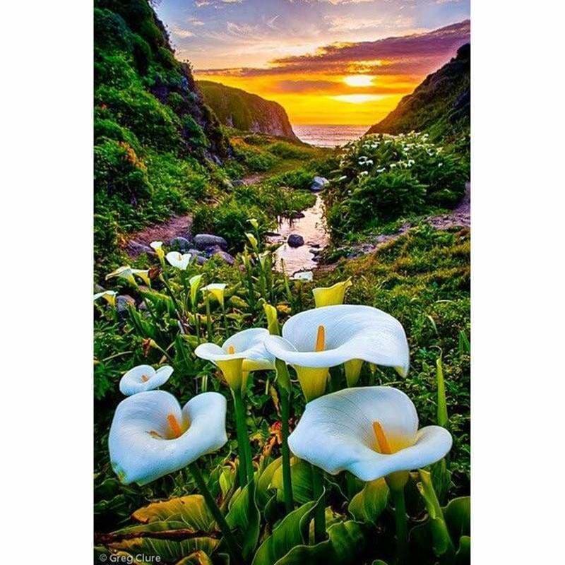 Mountain Village Calla Full Drill - 5D Diy Diamond Painting