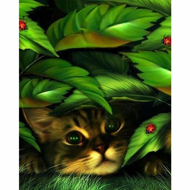 New Hot Sale Cute Cat Picture Full Drill - 5D Diy Diamond