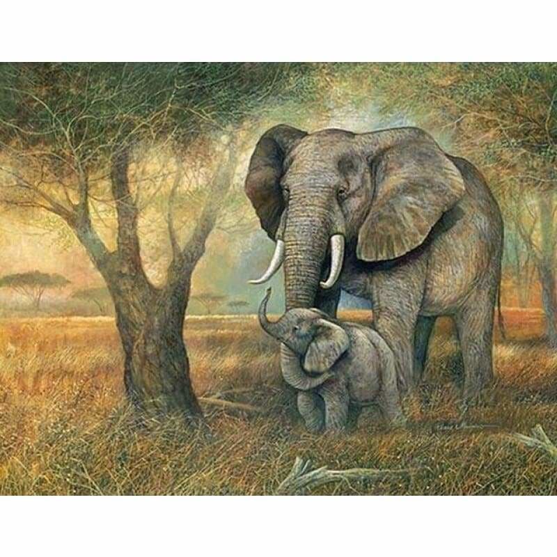 New Hot Sale Photo Dream Elephant Full Drill - 5D Diy