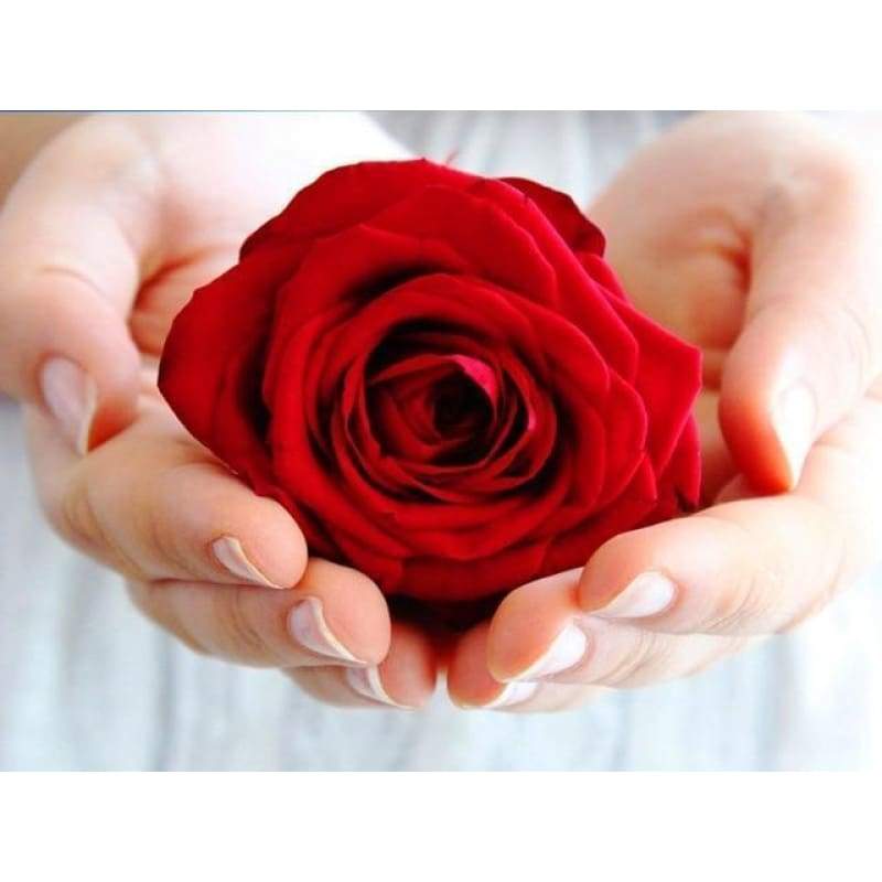 Dream Rew Rose Needlework 5d Diy Diamond Painting Kits VM9141