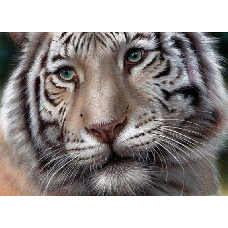 2019 Full Drill 5D DIY Diamond Painting Tiger Cross Stitch Rhinestone Mosaic