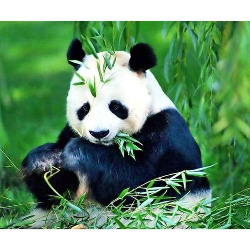 Hot Sale Cute Animal Panda Picture 5d Diy Diamond Painting Kits VM7854