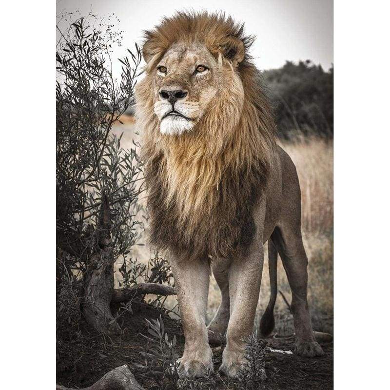 Lion Full Drill - 5D Diy Diamond Painting Kits Mosaic - NEEDLEWORK KITS