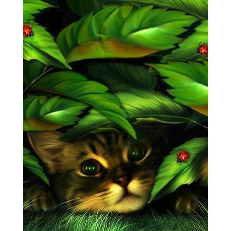 New Hot Sale Cute Cat Picture 5d Diy Diamond Painting Kits VM7272