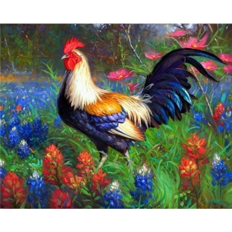 2019 Oil Painting Style Cock 5D Diy Cross Stitch Diamond Painting Kits NA0270