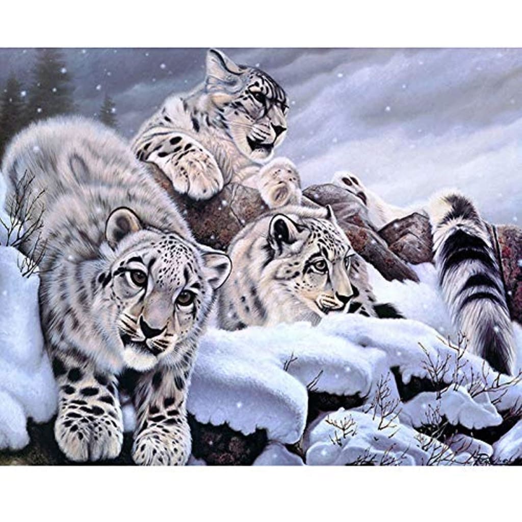 Animal Diy Paint By Numbers Kits PBN96349 - ZX2