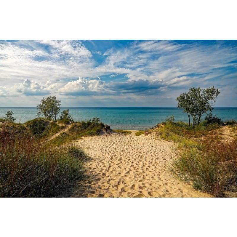 Beach Path - Full Drill Diamond Painting - Special Order -