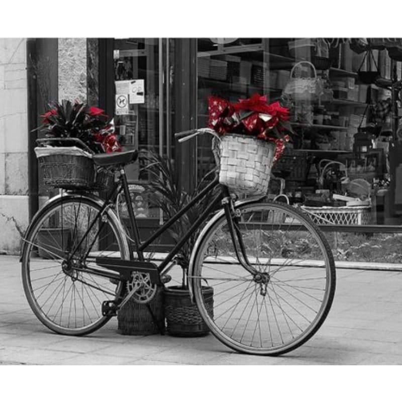 Bicycle Diy Paint By Numbers Kits ZXQ3443 - NEEDLEWORK KITS