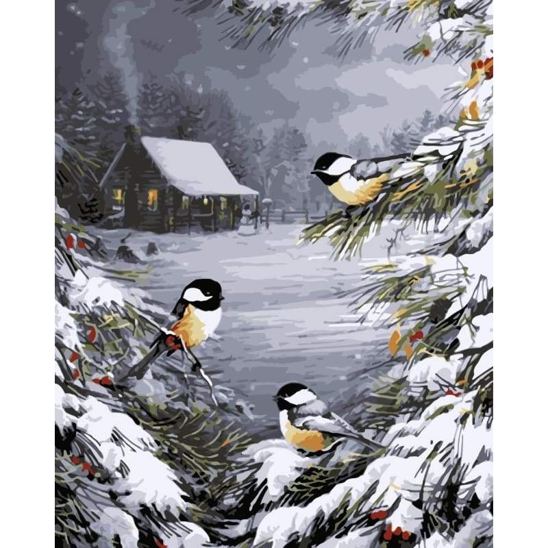Bird Diy Paint By Numbers Kits WM-127 - NEEDLEWORK KITS