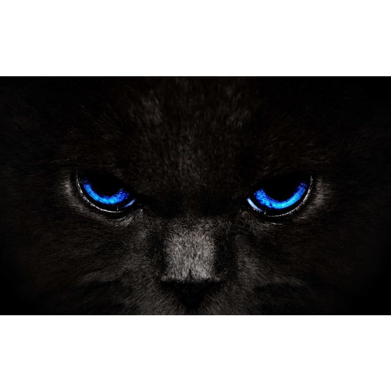 Black Cat Eyes (Blue) - Full Drill Diamond Painting -