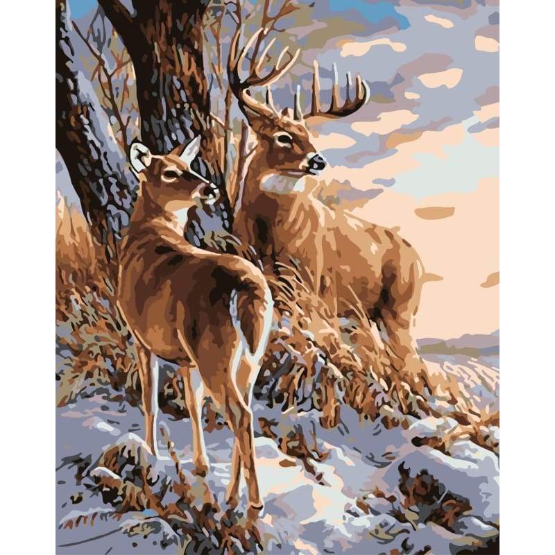 Deer Diy Paint By Numbers Kits WM-246 - NEEDLEWORK KITS