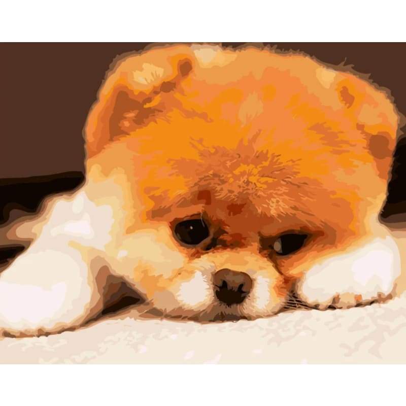 Dog Diy Paint By Numbers Kits PBN55955 - NEEDLEWORK KITS