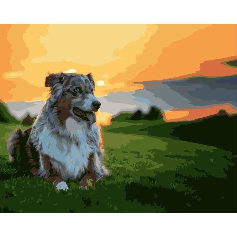 Dog Diy Paint By Numbers Kits WM-1196 - NEEDLEWORK KITS