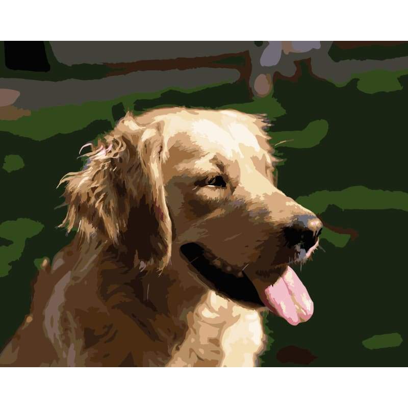 Dog Diy Paint By Numbers Kits WM-860 - NEEDLEWORK KITS