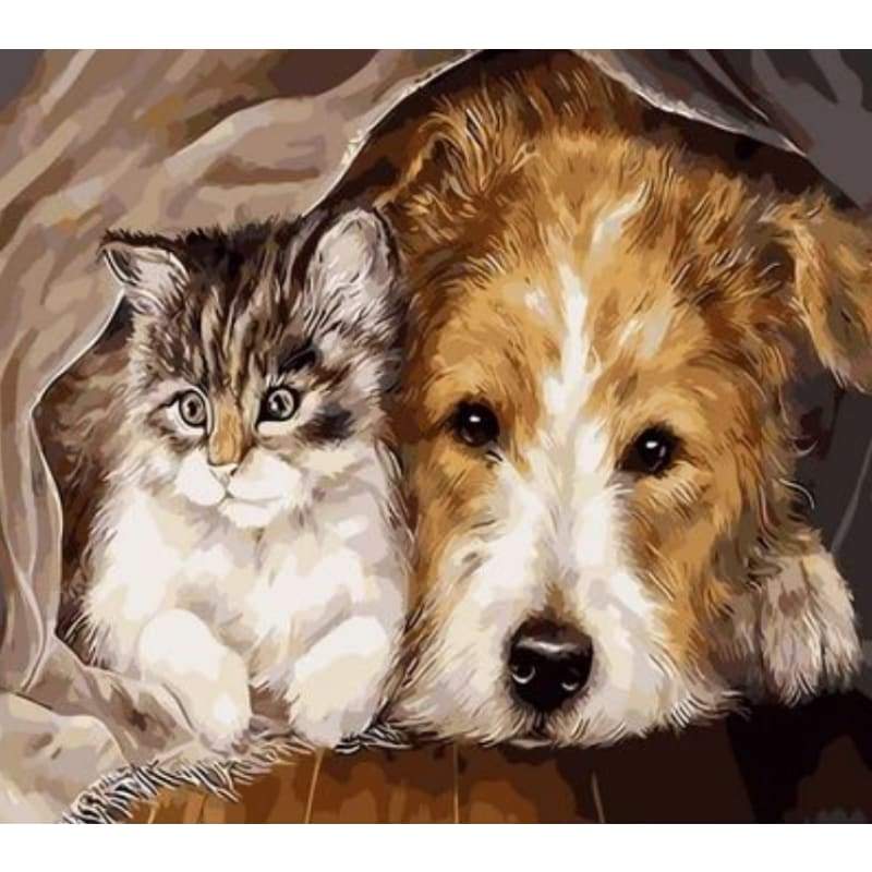 Dog Diy Paint By Numbers Kits ZXQ020 - NEEDLEWORK KITS
