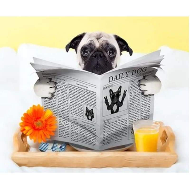 Dog Diy Paint By Numbers Kits ZXQ3335 - NEEDLEWORK KITS