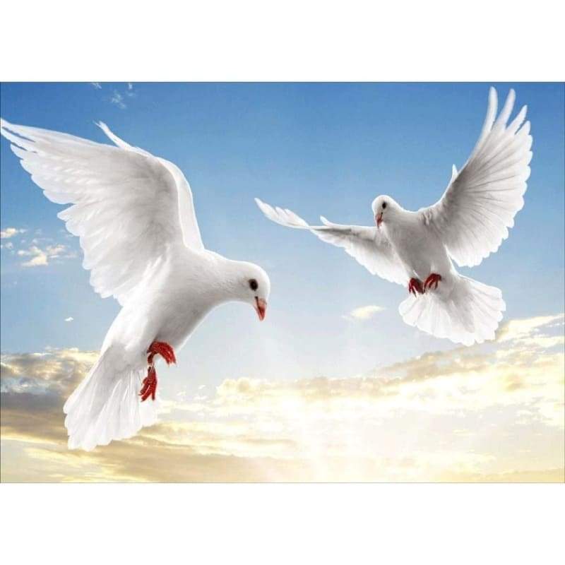 Dove Diy Paint By Numbers Kits VM96052 - NEEDLEWORK KITS