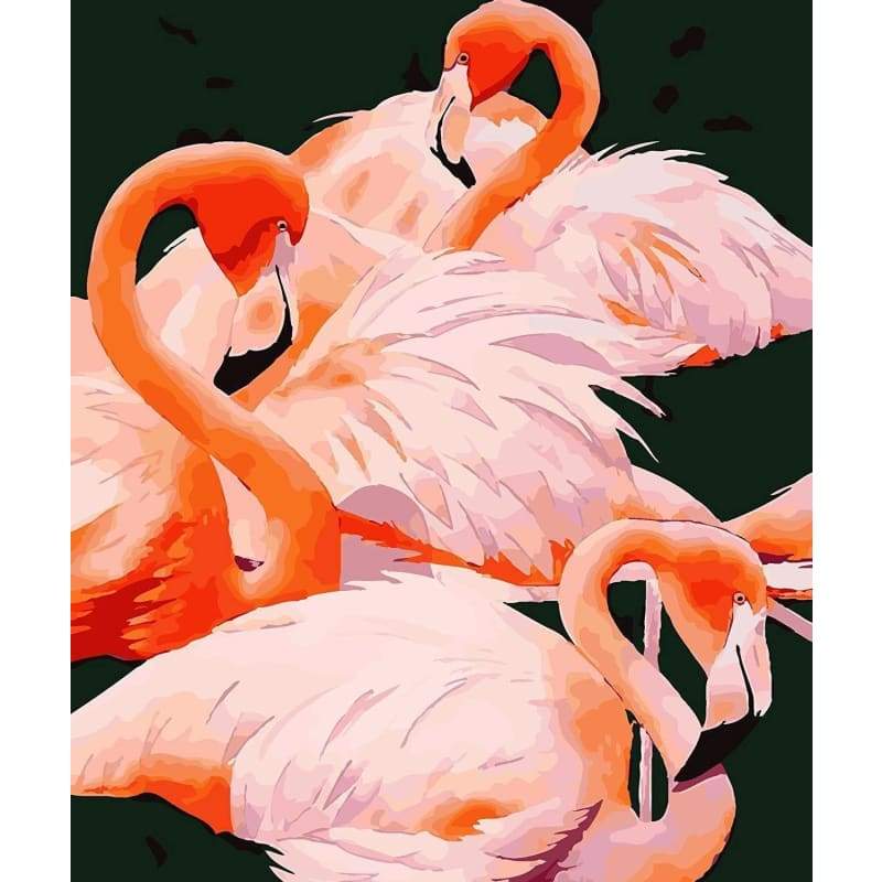 Flamingo Diy Paint By Numbers Kits PBN97938 - NEEDLEWORK KITS