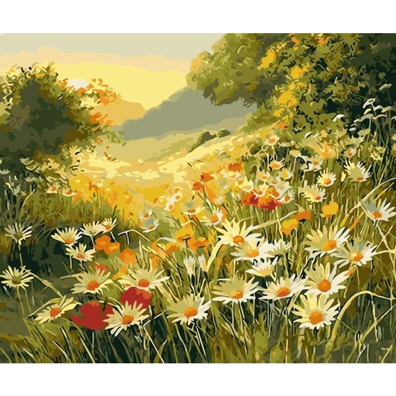 Flower Diy Paint By Numbers Kits WM-314 - NEEDLEWORK KITS