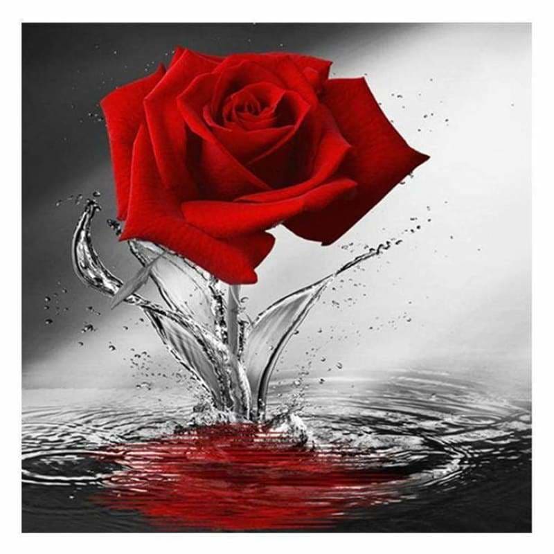 Full Drill - 5D Diamond Painting Kits Wall Decoration