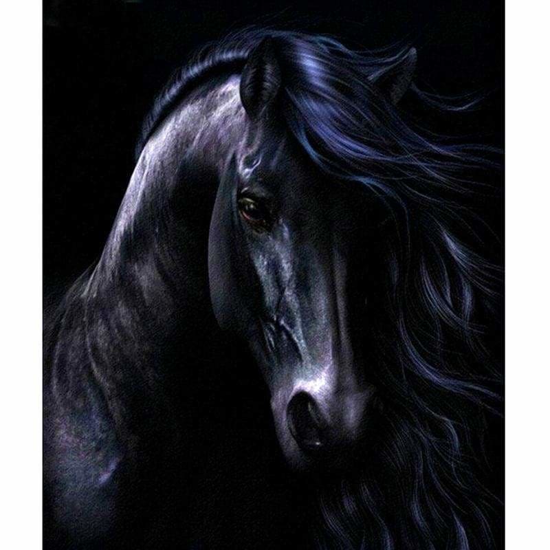 Full Drill - 5D DIY Diamond Painting Kits Artistic Black