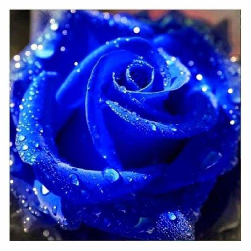 Full Drill - 5D DIY Diamond Painting Kits Beautiful Blue