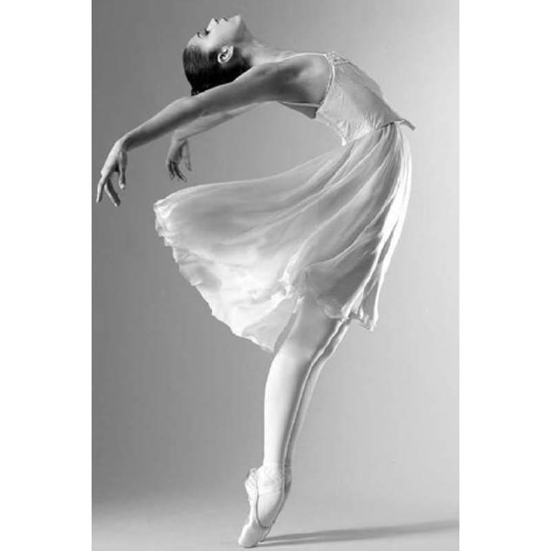 Full Drill - 5D DIY Diamond Painting Kits Black White