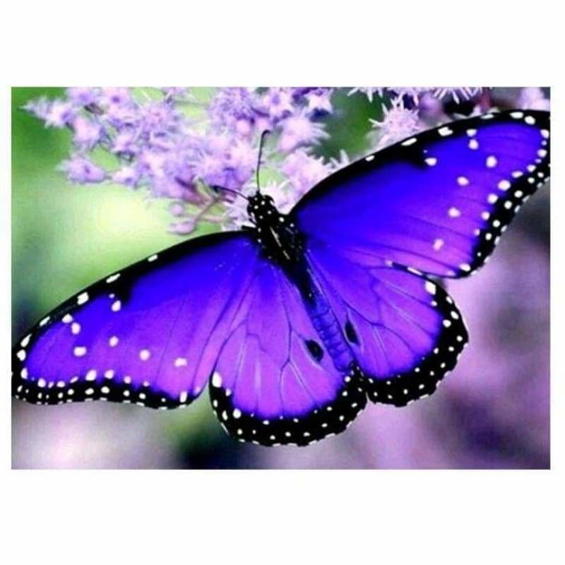 Full Drill - 5D DIY Diamond Painting Kits Blue Purple