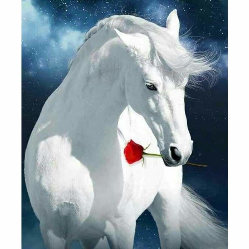 Full Drill - 5D DIY Diamond Painting Kits Cartoon White