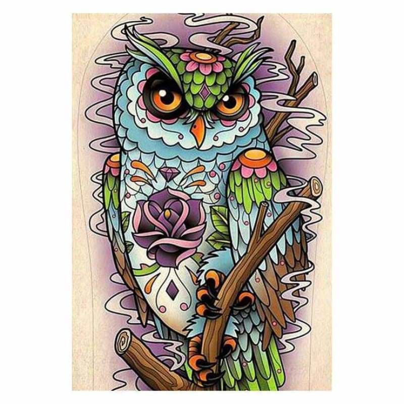 Full Drill - 5D DIY Diamond Painting Kits Colorful Cool