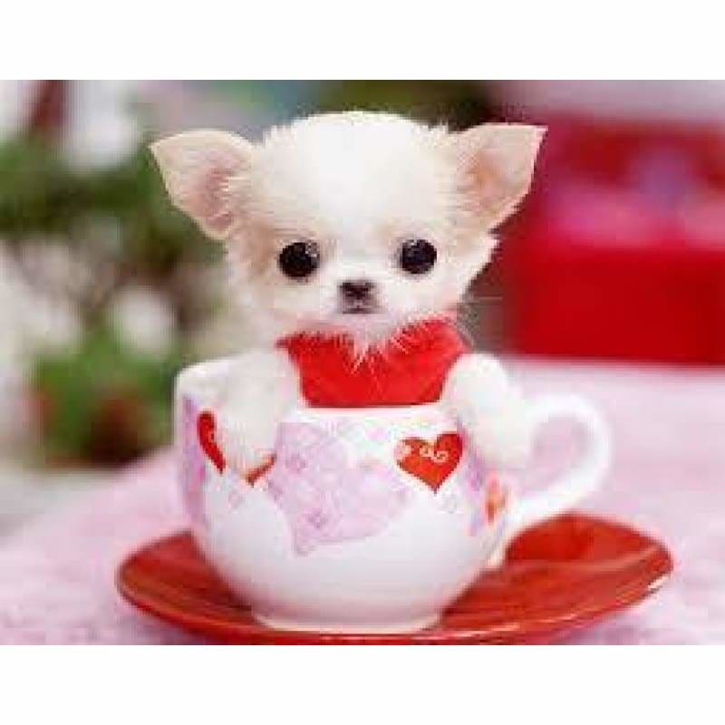 Full Drill - 5D DIY Diamond Painting Kits Cute Dog In The