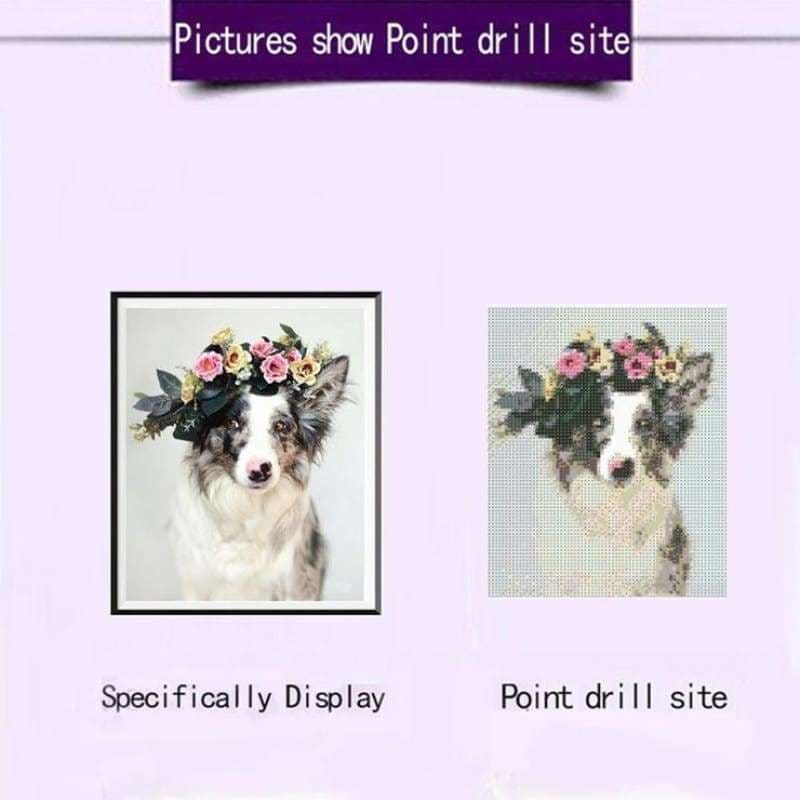 Full Drill - 5D DIY Diamond Painting Kits Cute Special