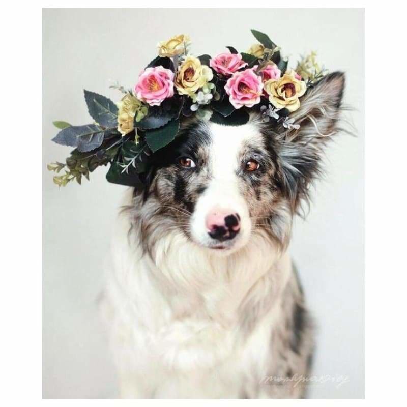 Full Drill - 5D DIY Diamond Painting Kits Cute Special