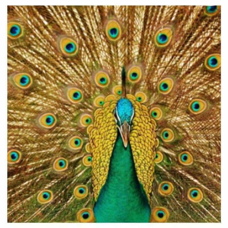 Full Drill - 5D DIY Diamond Painting Kits Gold Modern