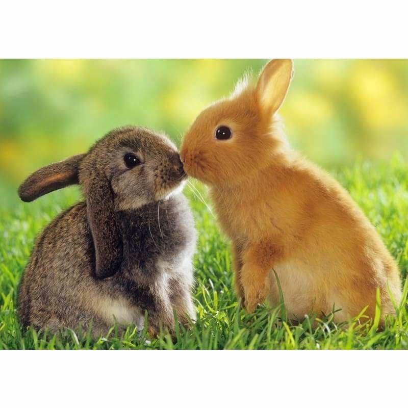 Full Drill - 5D DIY Diamond Painting Kits Kissing Cute