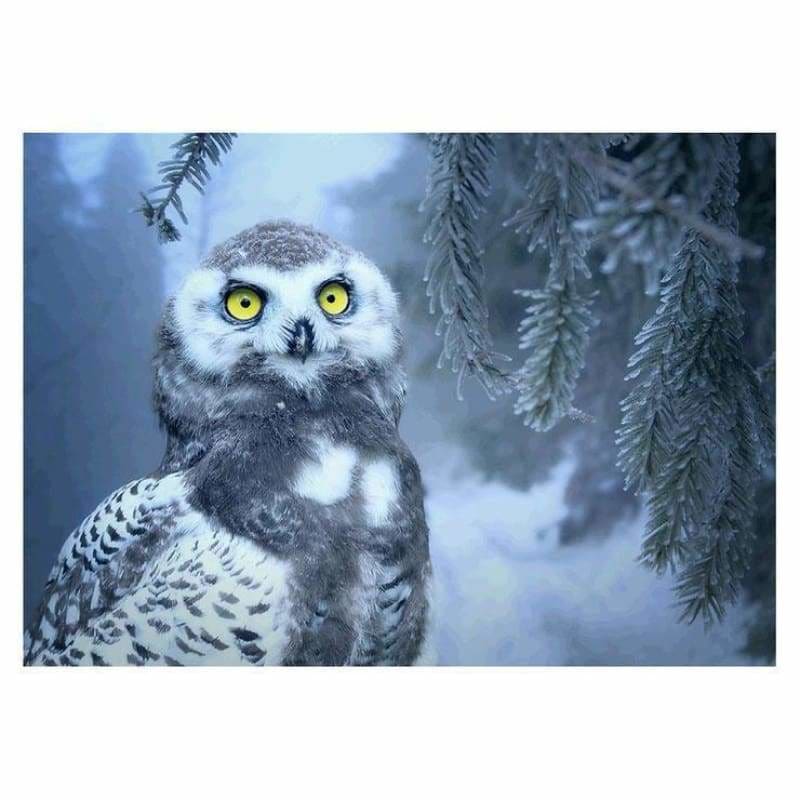 Full Drill - 5D DIY Diamond Painting Kits Winter Snow Owl -