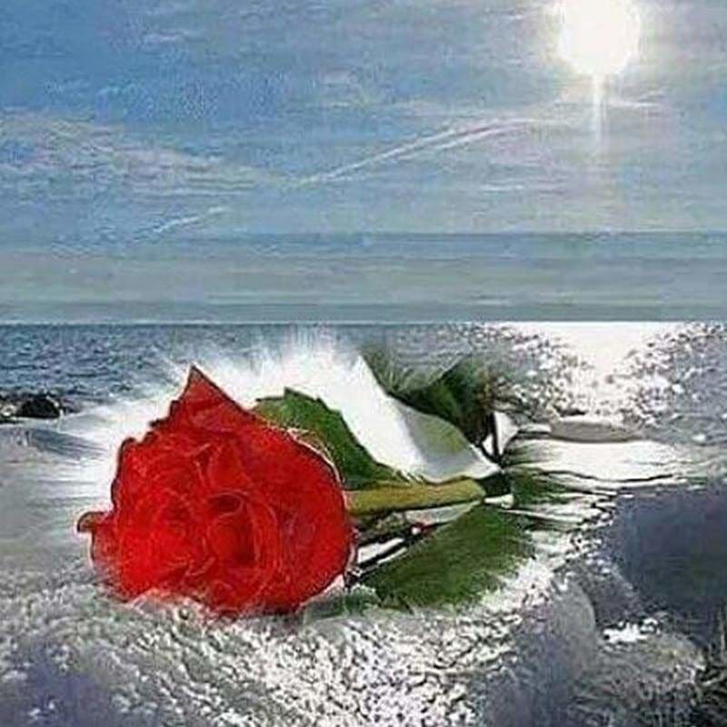 Full Drill - 5D DIY Diamond Painting Sea Red Rose Flower