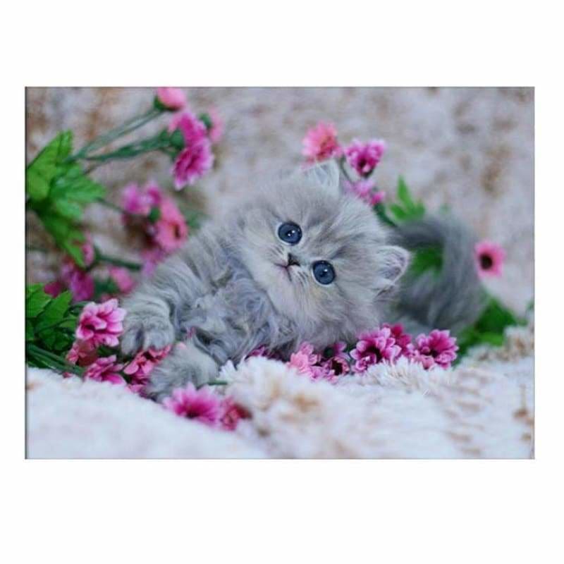 Hot Sale Gray Cat And Flowers Full Drill - 5D Diy Diamond