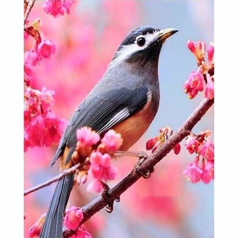 New Bird Pattern Wall Decor Full Drill - 5D Diy Diamond